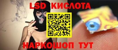 гидра Тверь