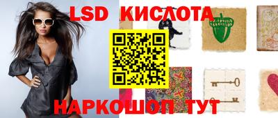 гидра Тверь