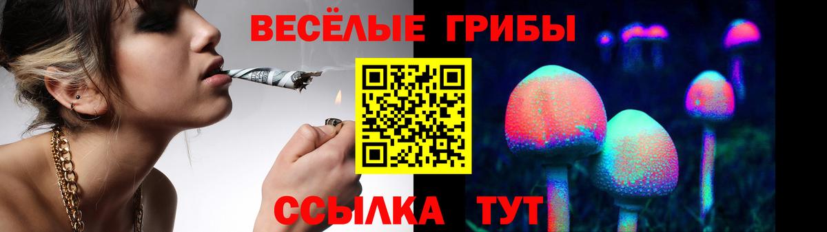 Псилоцибиновые грибы ЛСД  Вход с VPN  Наро-Фоминск 